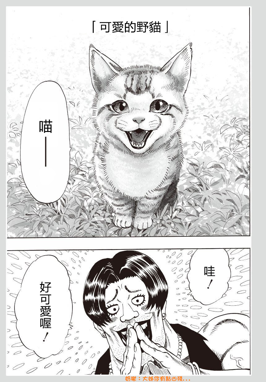 《一拳超人》村田老师版 可爱的野猫第2页